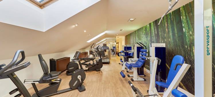 布尔戈斯宫NH典藏酒店(NH Collection Palacio Burgos)图片