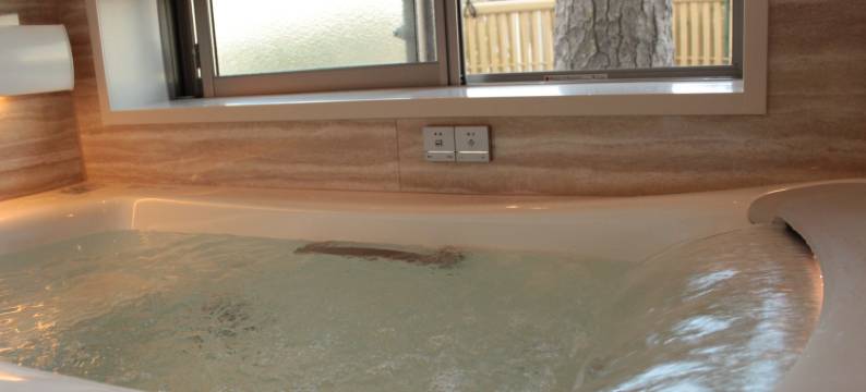 每天限一组，出租别墅Saya(Rental Villa Saya)图片