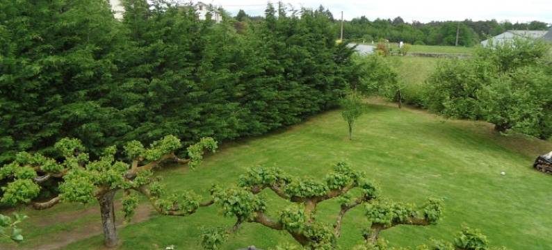 塞博尔葡萄园酒店(Domaine du Sable)图片