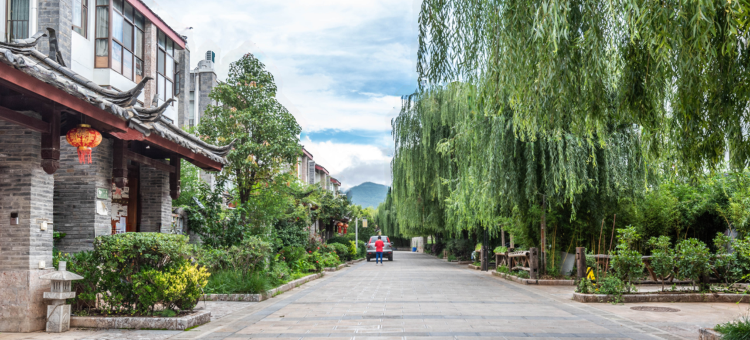 丽江禹树青藤观景别墅图片