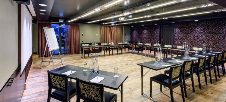 圣彼得堡桑娅丽笙酒店(Radisson Sonya Hotel Saint Petersburg)图片