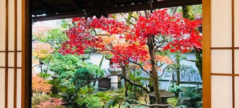 旅馆市川(Ryokan Ichikawa)图片