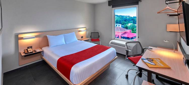 坦皮科城市快捷酒店(City Express by Marriott Tampico)图片