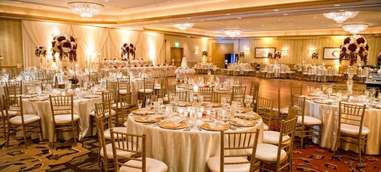 芝加哥奥黑尔罗斯蒙特希尔顿酒店(Hilton Rosemont Chicago O'Hare)图片