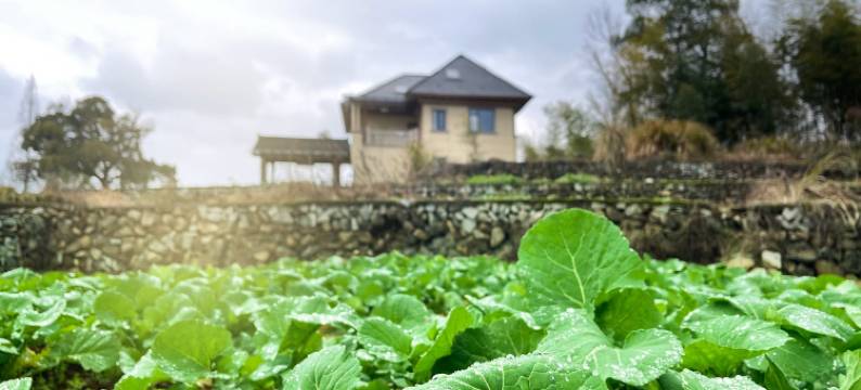 御水天来民宿(三国风云漂流店)图片