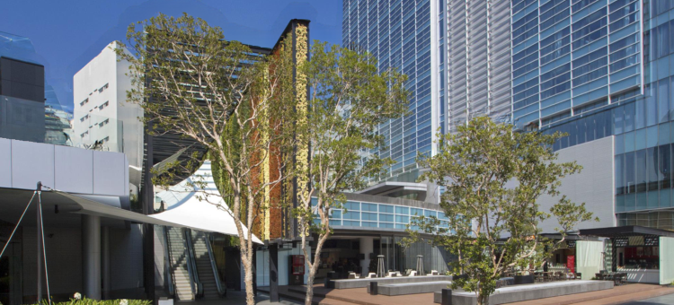 墨西哥城圣达菲威斯汀酒店(The Westin Santa Fe, Mexico City)图片