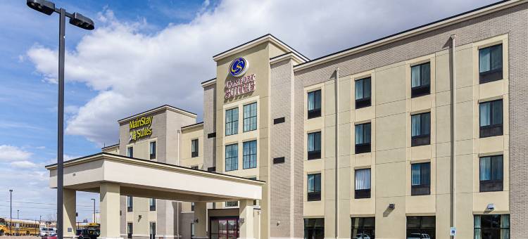 舒适套房酒店-近丹佛市区(Comfort Suites Near Denver Downtown)图片