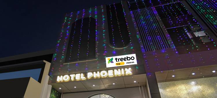 Itsy酒店凤凰(Itsy Hotels Phoenix)图片