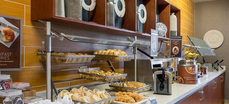 坦帕北/坦帕棕榈万豪SpringHill酒店(SpringHill Suites Tampa North/I-75 Tampa Palms)图片