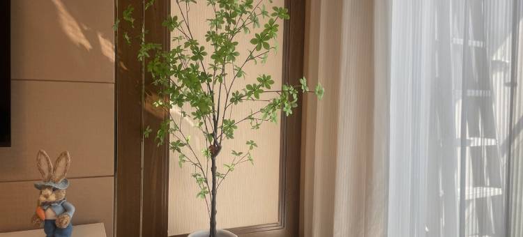 feifei8543公寓(博美路分店)图片