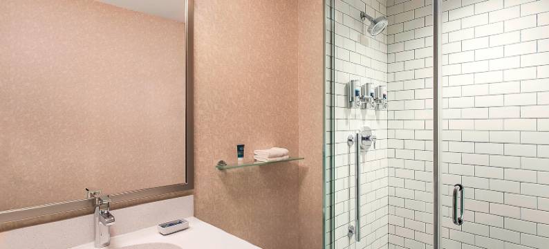 纽约市中心福朋喜来登酒店(Four Points by Sheraton New York Downtown)图片