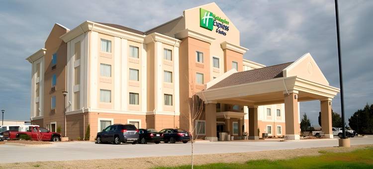 智选假日套房酒店莫里尔顿(Holiday Inn Express & Suites Morrilton)图片