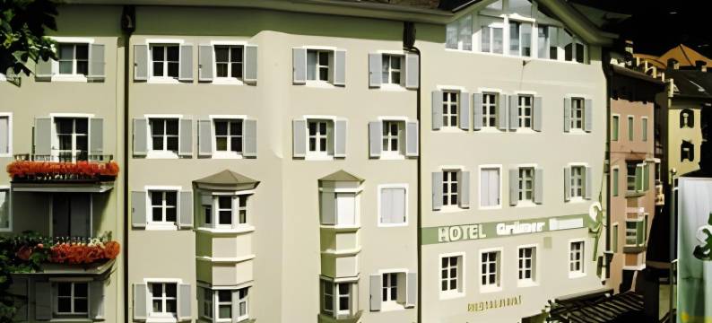 格鲁纳鲍姆酒店(Hotel Grüner Baum)图片