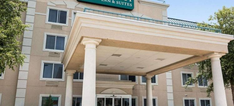 舒适酒店(Comfort Inn)图片