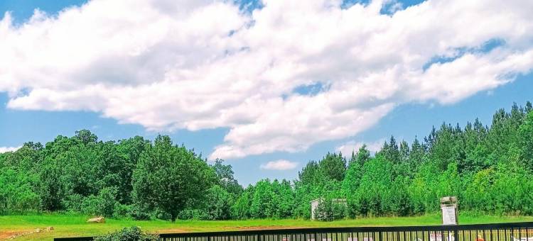 凯艺套房酒店(Quality Inn & Suites)图片