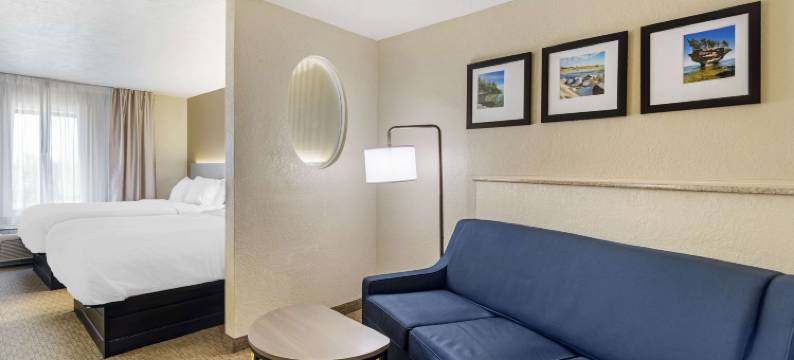 梅里尔维尔舒适套房酒店 - 近 US 30(Comfort Suites Merrillville Near US 30)图片