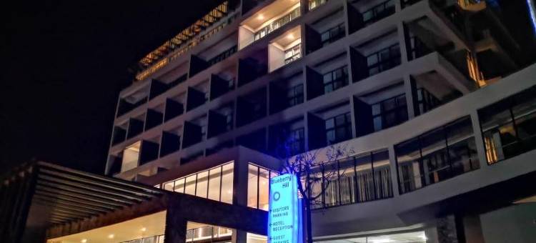 布鲁贝瑞山丘酒店(Blueberry Hill Hotel)图片