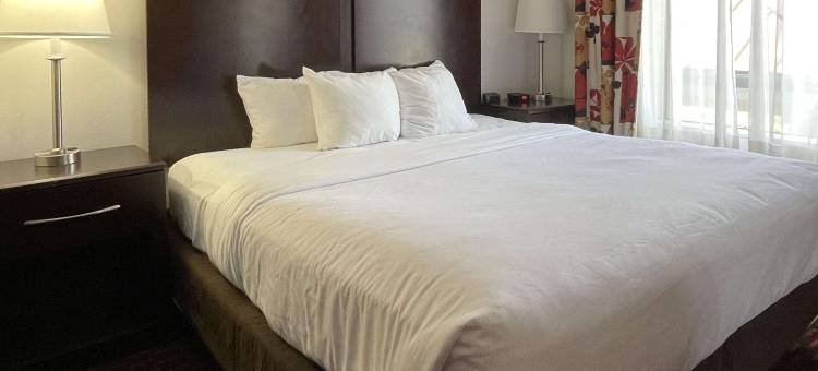 舒适套房酒店(Comfort Suites)图片