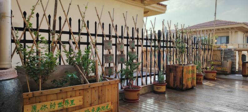 时光倒流小院(小泰山西路分店)图片