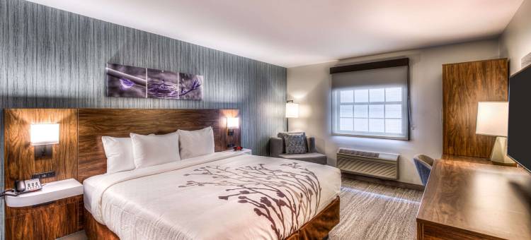 奥克布鲁克特雷-芝加哥舒眠酒店(Sleep Inn Oakbrook Terrace - Chicago)图片