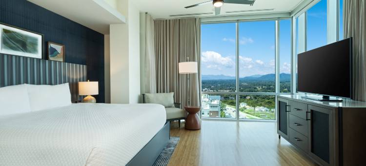 阿什维尔市中心英迪格酒店(Hotel Indigo Asheville Downtown)图片