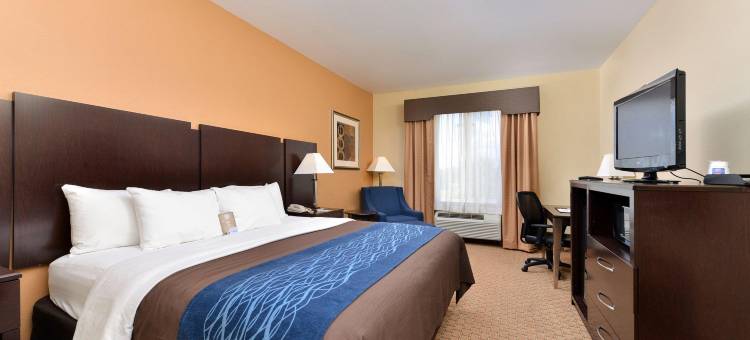 梅希亚舒适酒店(Comfort Inn & Suites Mexia)图片