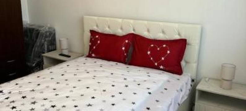 Velovan Apartment图片