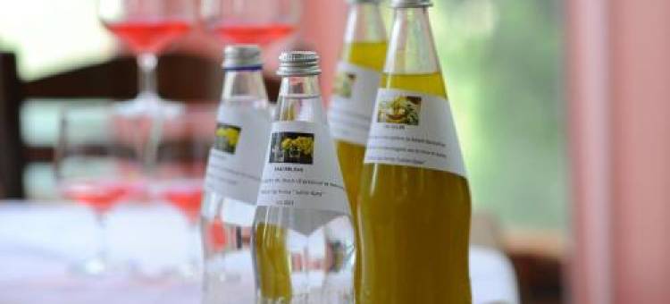 "Frogs House" Hotel & Restorant Slow Food图片