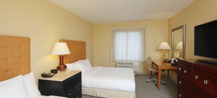 福朋喜来登酒店-圣何塞-哥斯达黎加(Four Points by Sheraton San Jose Costa Rica)图片