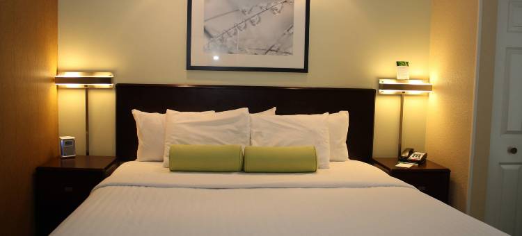 摩根敦SpringHill Suites 万豪酒店(SpringHill Suites Morgantown)图片