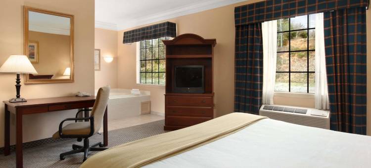 阿尔塔维斯塔戴斯酒店(Days Inn by Wyndham Altavista)图片