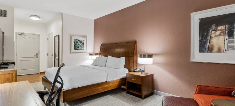 新奥尔良法国区希尔顿花园酒店(Hilton Garden Inn New Orleans French Quarter/CBD)图片