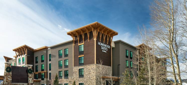 狄龙Homewood Suites by Hilton酒店(Homewood Suites by Hilton Dillon)图片