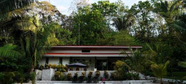 House in the Palm Forest图片