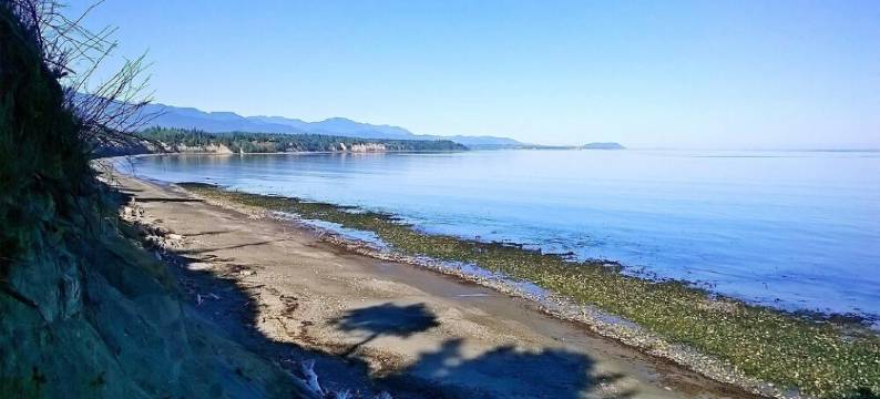 Private Beach Access on private trail offers Seclusion, comfort and intimacy.图片