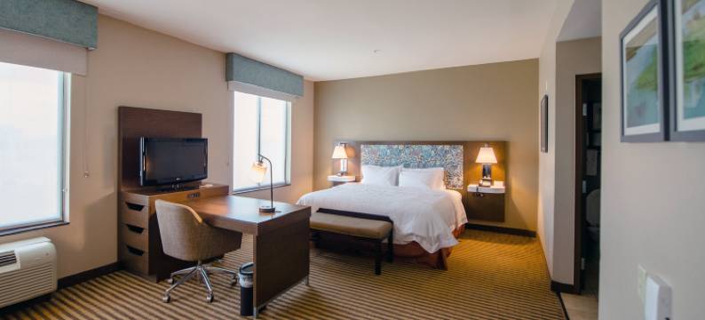 亚瑟港欢朋酒店及套房(Hampton Inn & Suites Port Arthur)图片