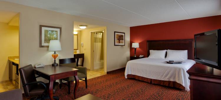 罗彻斯特-韦伯斯特欢朋酒店(Hampton Inn Rochester-Webster)图片