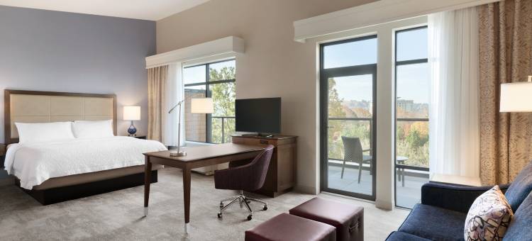 欢朋酒店及套房西雅图/伦顿，华(Hampton Inn and Suites Seattle/Renton)图片