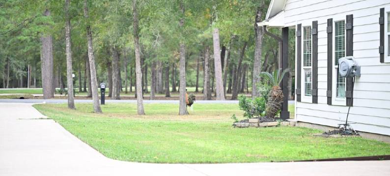 Modern Farmhouse in Wallisville!图片