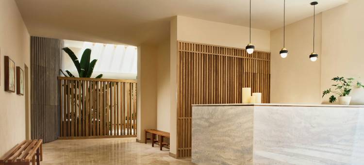 巴亚以塔港威斯汀水疗度假酒店(The Westin Resort & Spa, Puerto Vallarta)图片