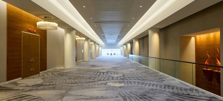 绍姆堡会议中心万丽酒店(Renaissance Schaumburg Convention Center Hotel)图片