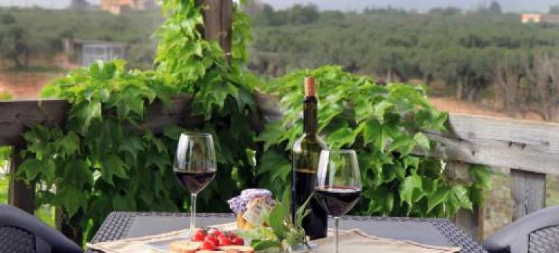 蒙塔巴诺农庄酒店(Agriturismo Montalbano)图片