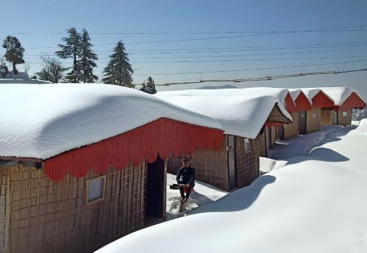 Himalayan Roots Hotel Overview