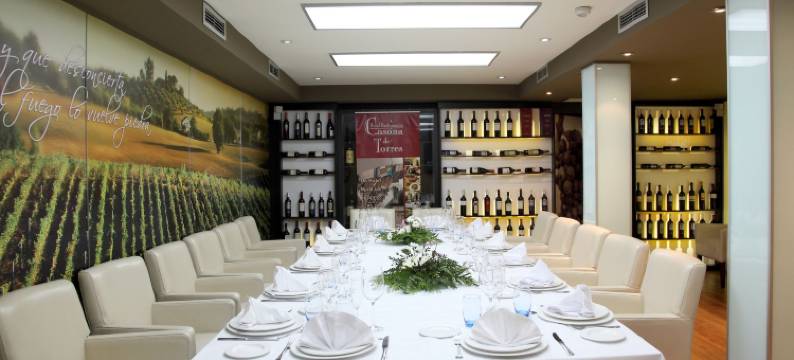 卡瑟纳托雷斯酒店(Casona de Torres)图片