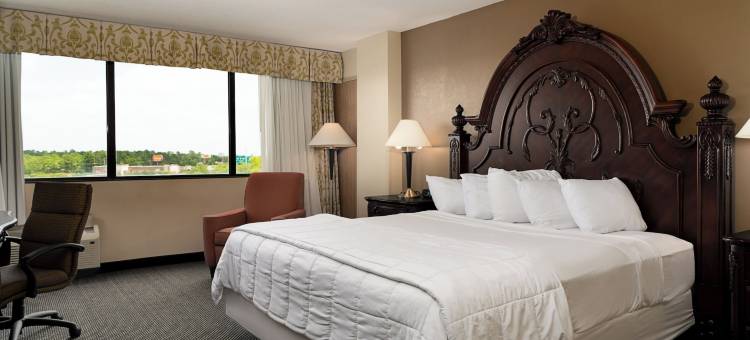 MCM雅典酒店及会议中心(Mcm Eleganté Hotel & Conference Center)图片