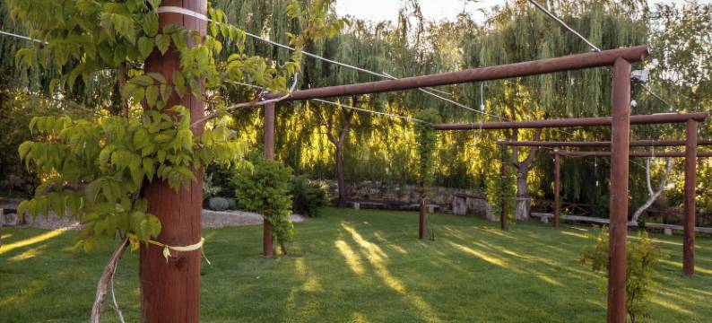 卡萨斯诺瓦斯乡村Spa及活动酒店(Casas Novas Countryside Hotel Spa & Events)图片