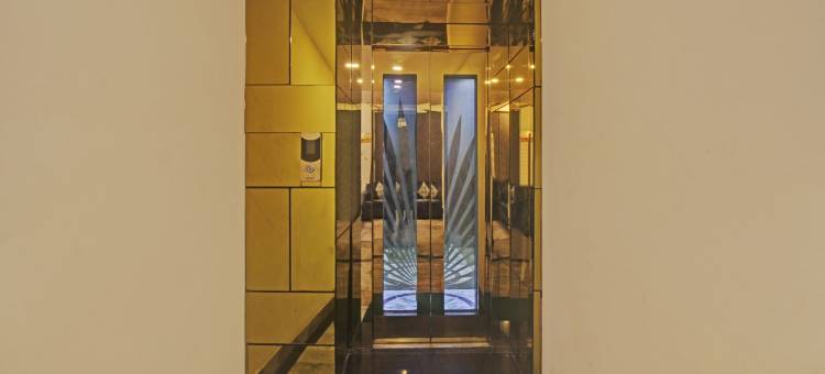 Treebo the Boss图片