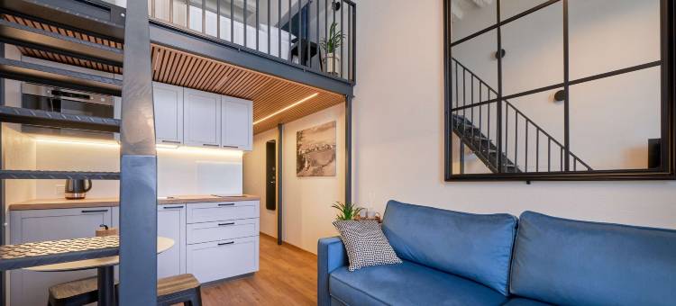 女王芭芭拉中心公寓(Queen Barbora Central Lofts)图片