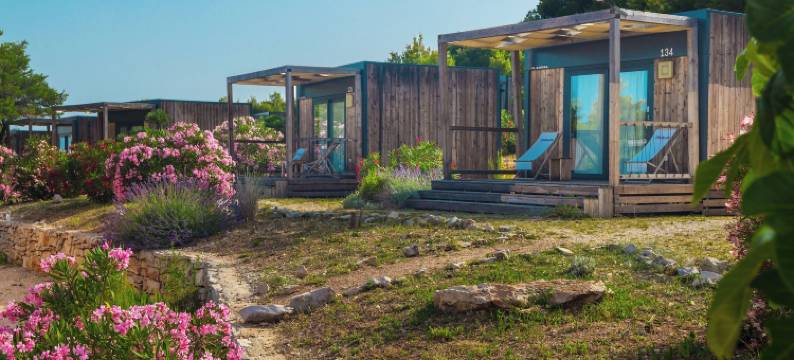 奥邦扬岛度假村(处女岛秀的拍摄地)(Obonjan Island Resort)图片