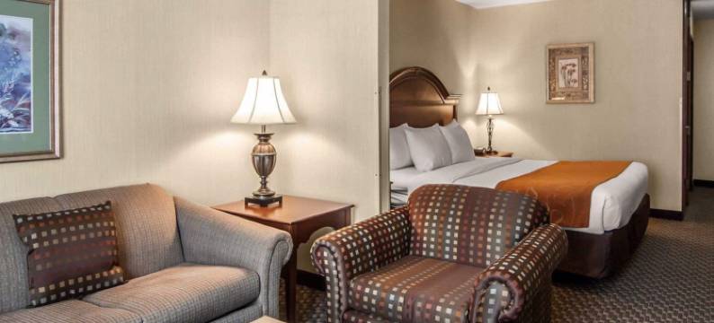 舒适套房酒店(Comfort Suites)图片